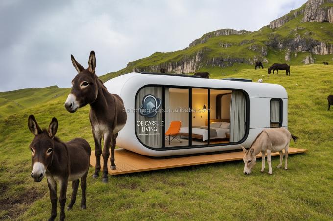 Luxe 20ft Modern Shipping Container Huis Kleine Residentie Prefab Steel Structure Voor Hotels Villa's Appartement Ruimte 5